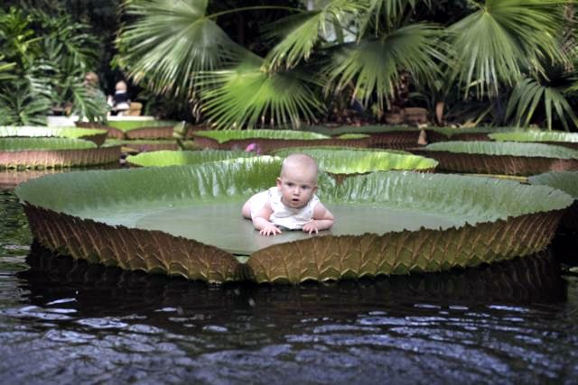 Πόσο θα κόστιζε η προστασία όλων των απειλούμενων ειδών